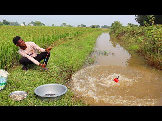 Fishing Video || I would not have believed if I had not seen so many fish in the village canal 