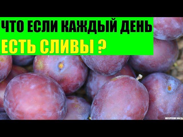 Что будет если каждый день есть сливы?