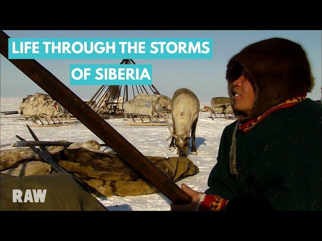 Chum building and surviving the cold storms of Arctic Russia | SIBERIA