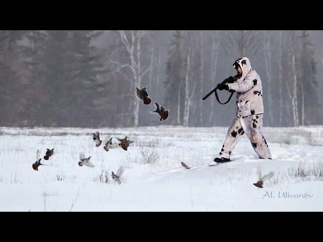 Охота на тетеревов на лунках. Закрытие сезона. Black grouse hunting