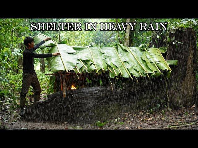 3 DAYS SOLO SURVIVAL: (NO FOOD, NO WATER, NO SHELTER) HEAVY RAIN, CATCH & COOK