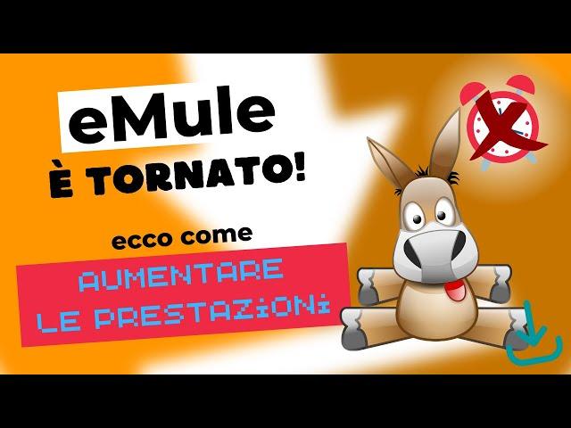 eMule è tornato - 4 metodi per aumentare le prestazioni