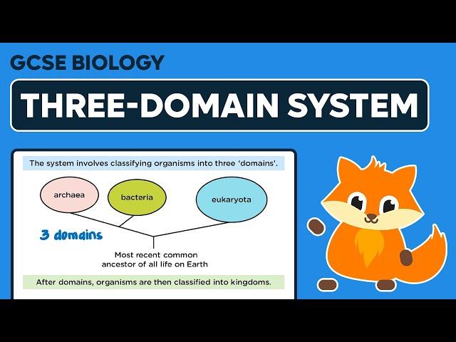 The Three-Domain System - GCSE Biology