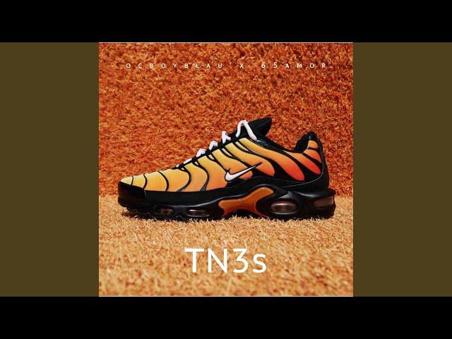 TN3s