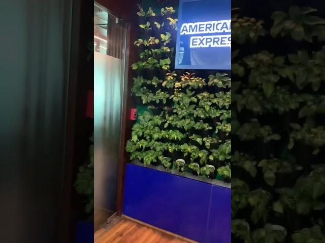 American Express card is not welcomed in American express Lounge - IGI - T3