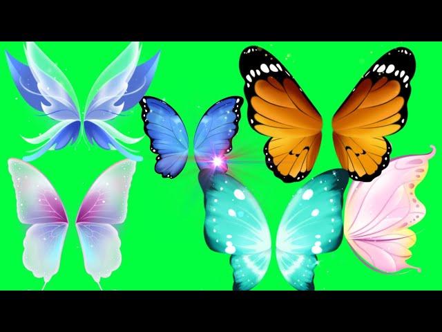 Animated Butterfly Green Screen | Butterfly Effect Green Screen Video | Green Screen Blue Butterfly