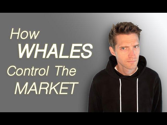 How Whales And Big Money Move The Stock Market