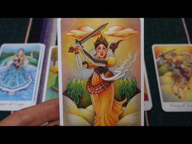 The Wisdom Seeker's Tarot review - whole deck flip through