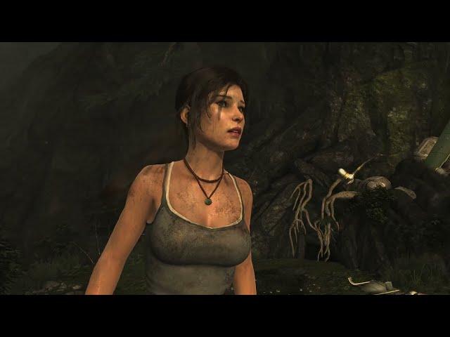 Testing HDR in Tomb Raider 2013 (PC) | Special K HDR | 60fps FHD