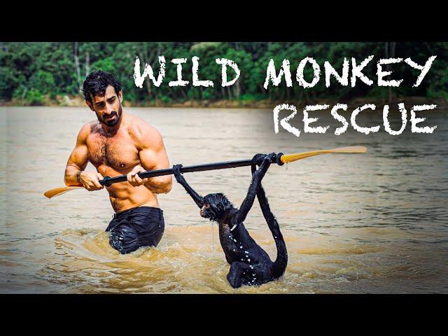 Wild Spider Monkey Rescue