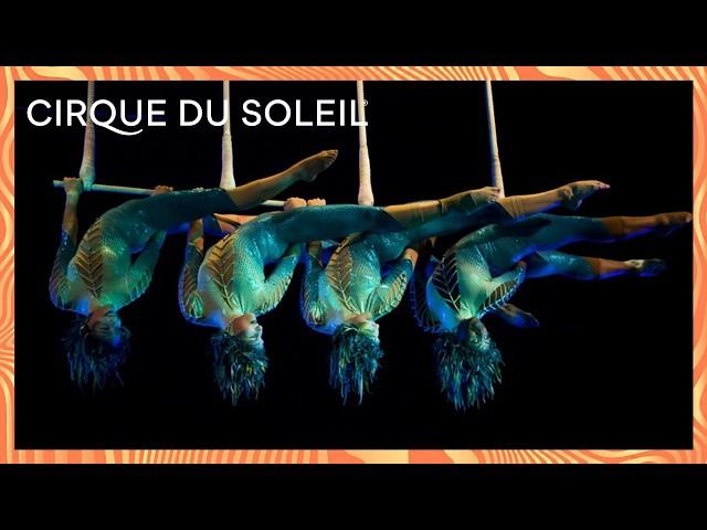 60 - MIN SPECIAL | Mystère, Delirium & Varekai | Cirque du Soleil