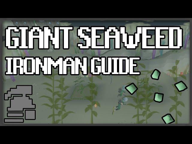 Giant Seaweed [Ironman Guide] [Updated 2020]