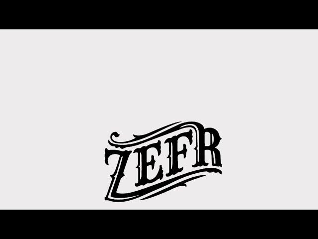 Zefr - Brand suitability targeting and measurement across walled gardens