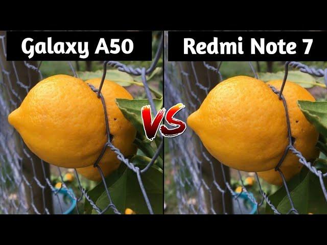 Samsung Galaxy A50 VS Redmi Note 7 Camera Test Comparison, Which is Better Camera, Galaxy A50 Review