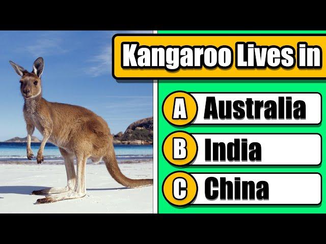 Easy General Knowledge Quiz  | 50 Fun Questions for All Ages