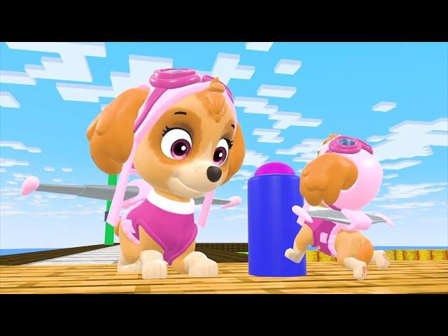 Paw Patrol's Skye Enjoying a Sunny Day | Crew Sun