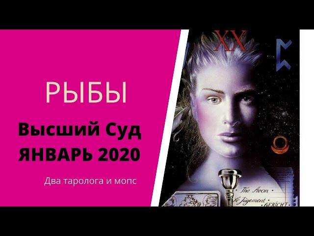 Рыбы. Высший суд. Январь 2020