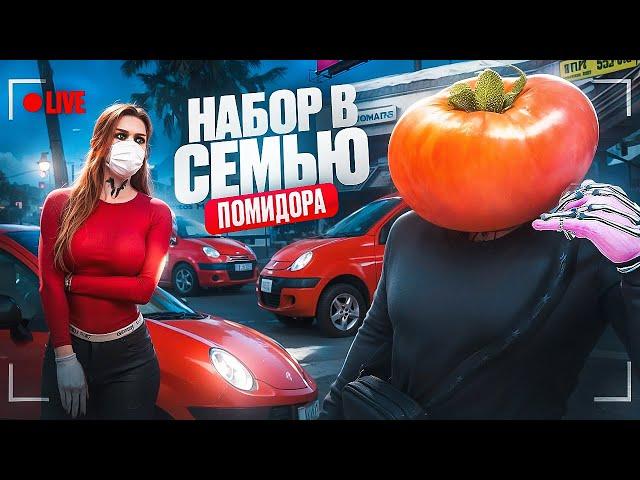 ОПА! НАБИРАЮ в СЕМЬЮ ПОМИДОРЧИКОВ на Majestic RP | GTA V RP + КОПЛЮ МИЛЛИОН ДОЛЛАРОВ