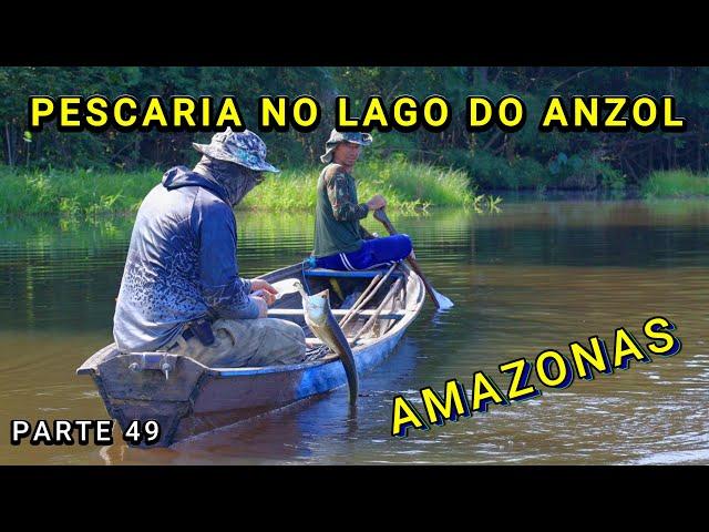 FISHING WITH TOURISTS IN LAGO DO ANZOL - VIDEO 49 - Amazonas