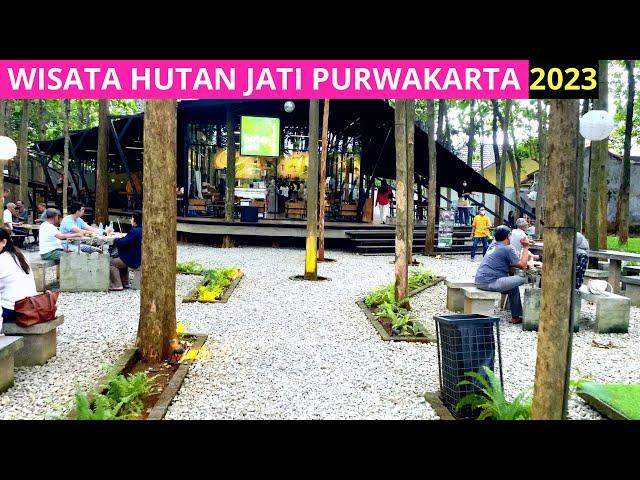 Wisata Purwakarta Yang Lagi Hits️Hutan Jati Cafe & Gelato Purwakarta Terbaru️