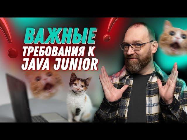 Что должен знать и уметь Junior Java Developer?