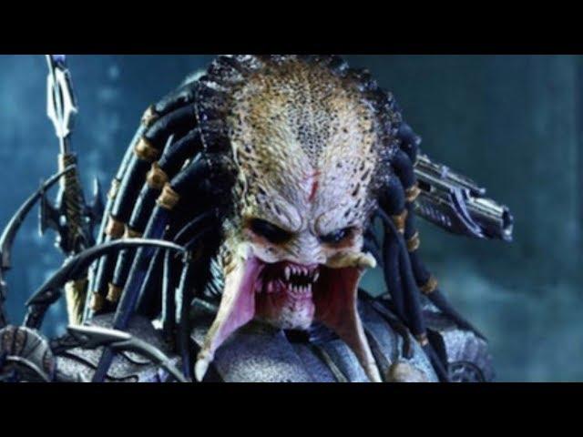 The Entire Predator Story Finally Explained