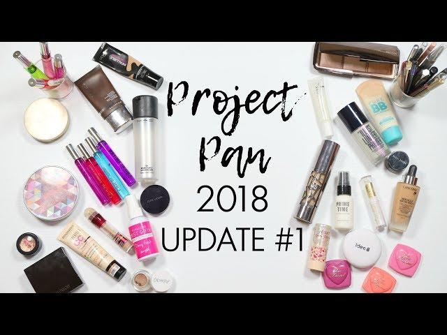 Project 50 Pan 2018 - Update #1