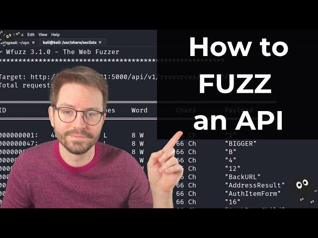 Hacking APIs: Fuzzing 101