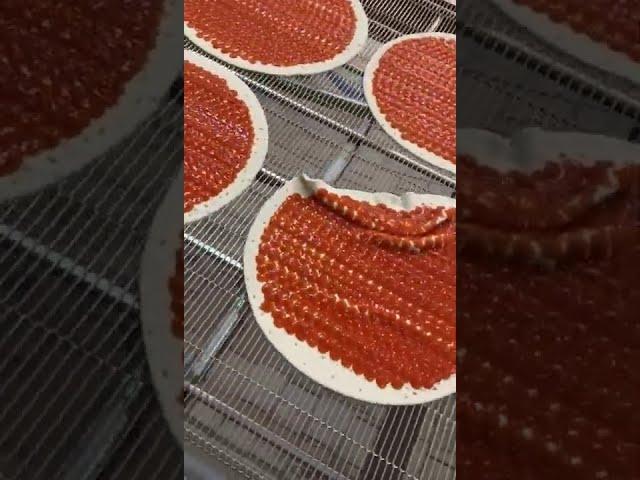 Pizza sauce applicator perfectly applies tomato sauce [FoodJet]