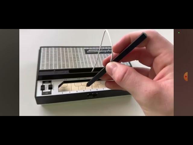 This is a stylophone by Emstepko. Ural Pelmenes