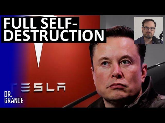 Did Tesla "Full Self-Driving" Mode Drive Slam Model 3 Into a Tree | Hans von Ohain Case Analysis