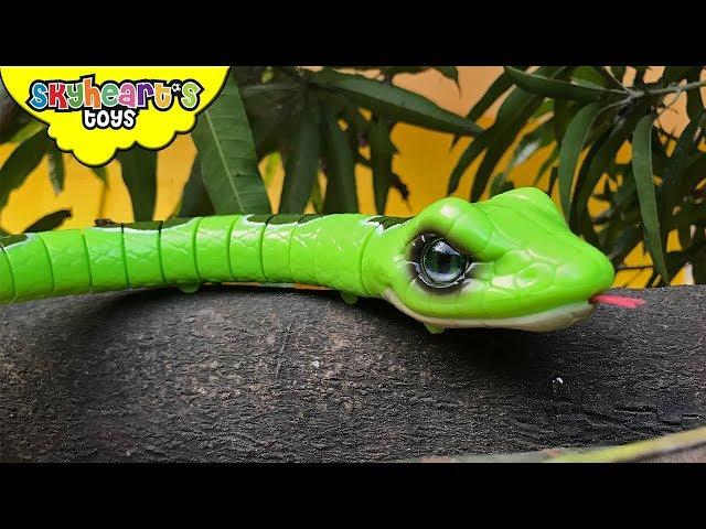 SNAKES vs. DINOSAURS - Invasion of Snake toys Skyheart kids action fight reptiles