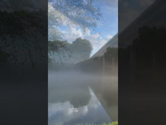 1 Hour Fog on the River with Zen Music | Link in the description