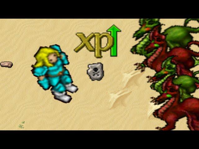 Dragons never been easier | Best dragon lord spawn Tibia 2022.