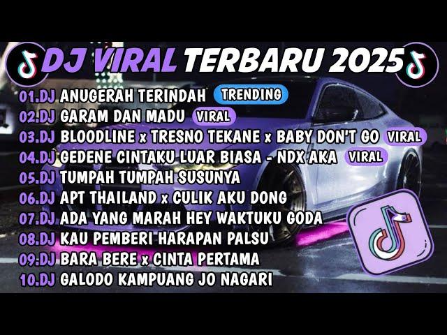 DJ TIKTOK TERBARU 2025 DJ ANUGERAH TERINDAH DJ GARAM DAN MADU FULL ALBUM