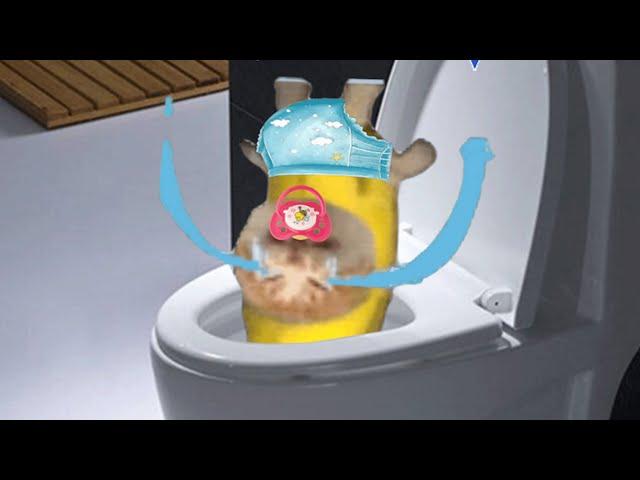 BANANA CAT  HAPPY AND  CRY VIDEOS 5 #catmemes #cat #bananacat #happycat #fyp