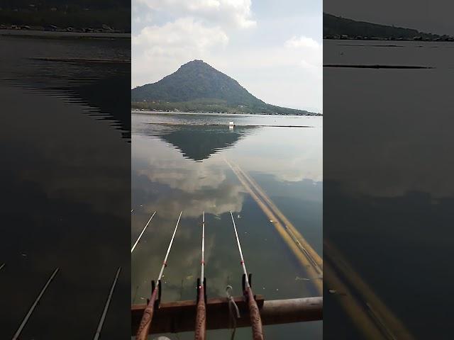 mancing jatiluhur terbaru || di spot ikan nila badot yang viral