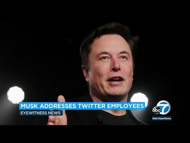 Elon Musk addresses layoffs, 'free speech' during first meeting with Twitter employees | ABC7