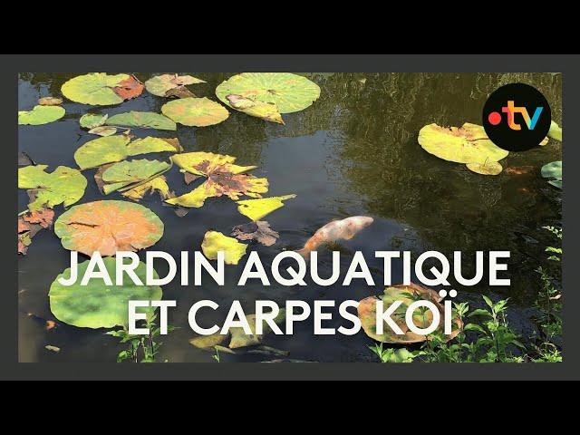 Visite des Jardins Aquatiques de Saint-Didier-sur-Chalaronne (Ain)