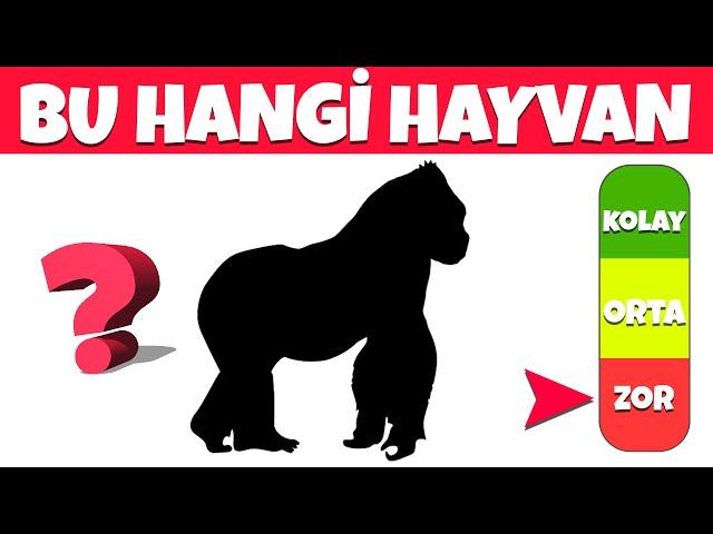 HAYVAN GÖLGE BULMACASI: Hayvanları Gölgelerinden Tanıyabilir misin? | Kolay, Orta, Zor | Bul Bakalım