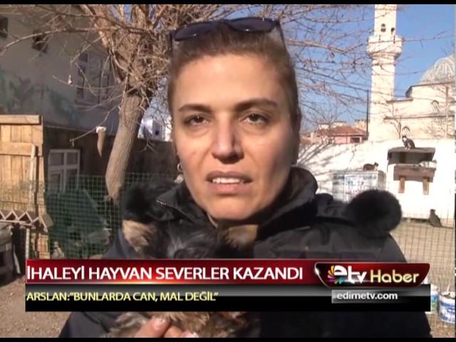 İHALEYİ HAYVAN SEVERLER KAZANDI