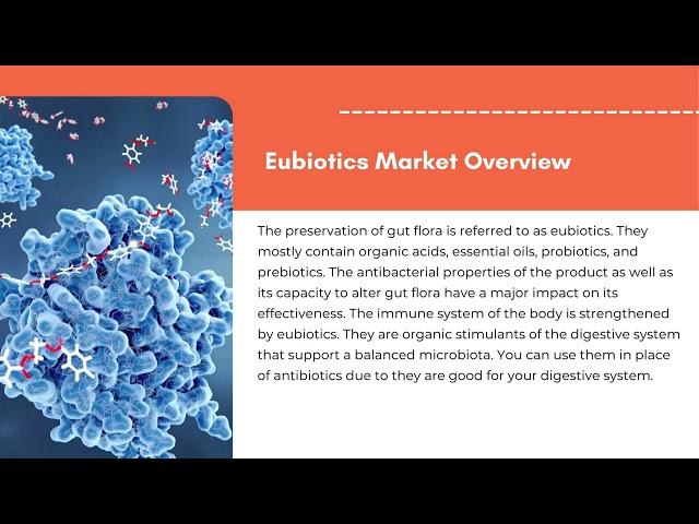 Eubiotics Market | Exactitude Consultancy Reports