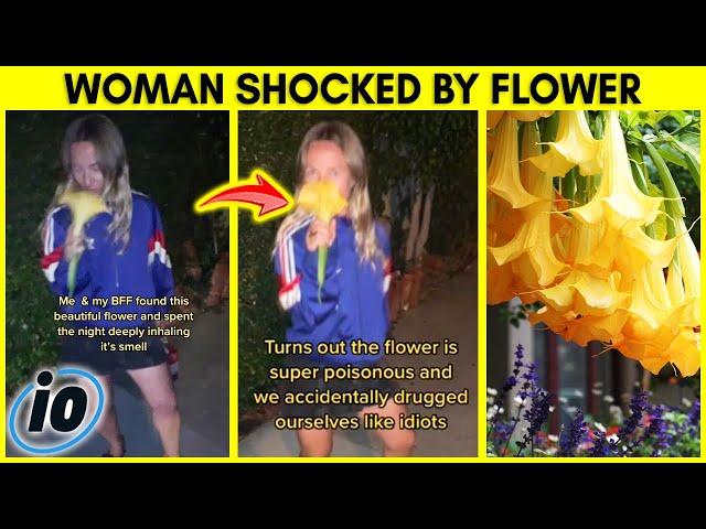 Woman Accidentally Drugs Herself After Smelling Flower