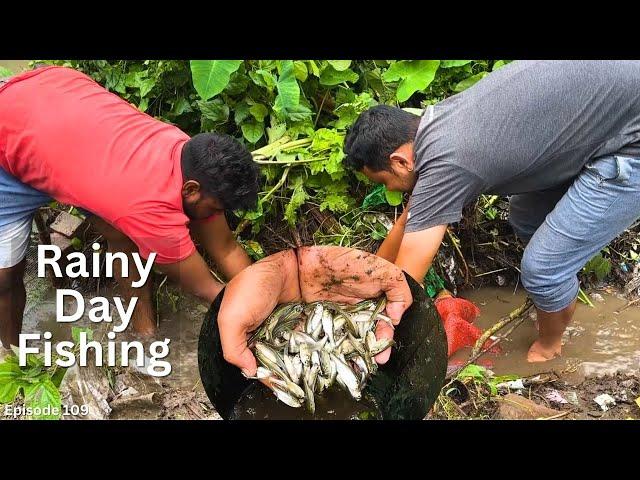 Amazing Fishing Skill | বৃষ্টিতে মাছ ধরা | Rainy Day Fishing | Hand Fishing |