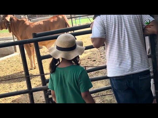 Qurbani moments 2024Il EidUL Azha Funny Animals qurbani moments 2024Il EidUL Azha ||ravicollection..