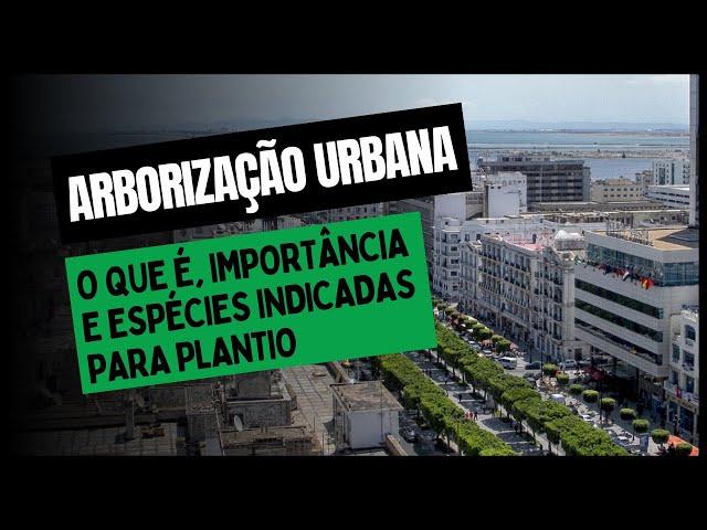 ARBORIZAÇÃO URBANA: O Que É, Importância e Espécies Indicadas Para Plantio