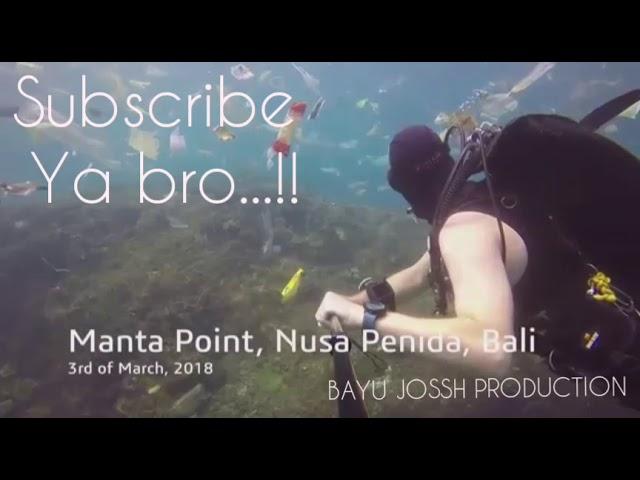 VIRAL....VIDEO PENYELAM INGGRIS TUNJUKKAN LAUT BALI PENUH SAMPAH