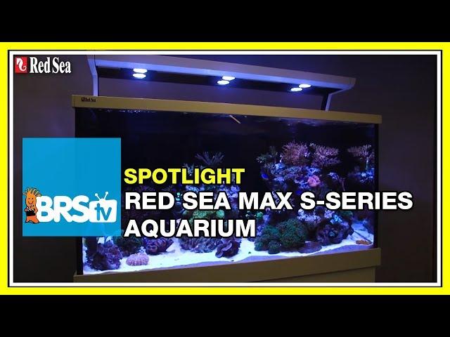 How to setup a complete reef system - Red Sea Max S Aquariums | BRStv Spotlight