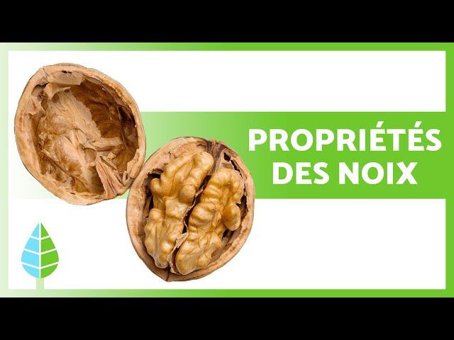 BIENFAITS des NOIX  (Propriétés médicinales, comment en manger et contre-indications)