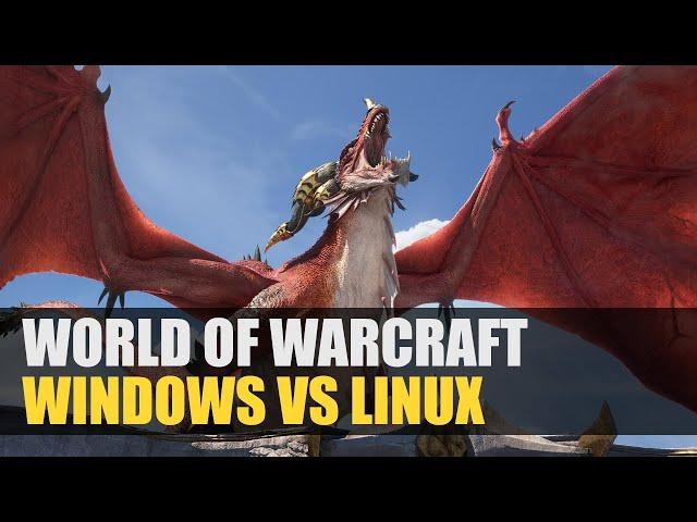 World of Warcraft: Dragonflight | Windows vs Linux | Directx 12 vs VKD3D | DirectX 11 vs DXVK